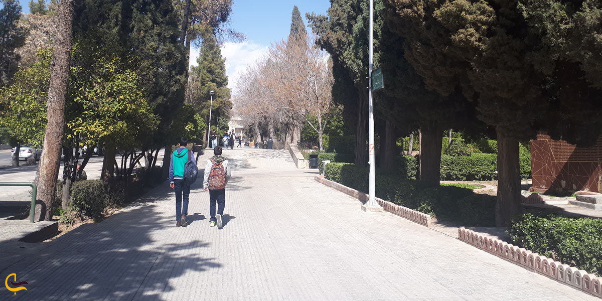 تصویری از یاده روی در باغ ملی شیراز
