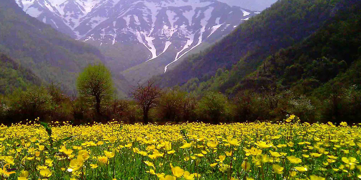 تصویری از رودسر