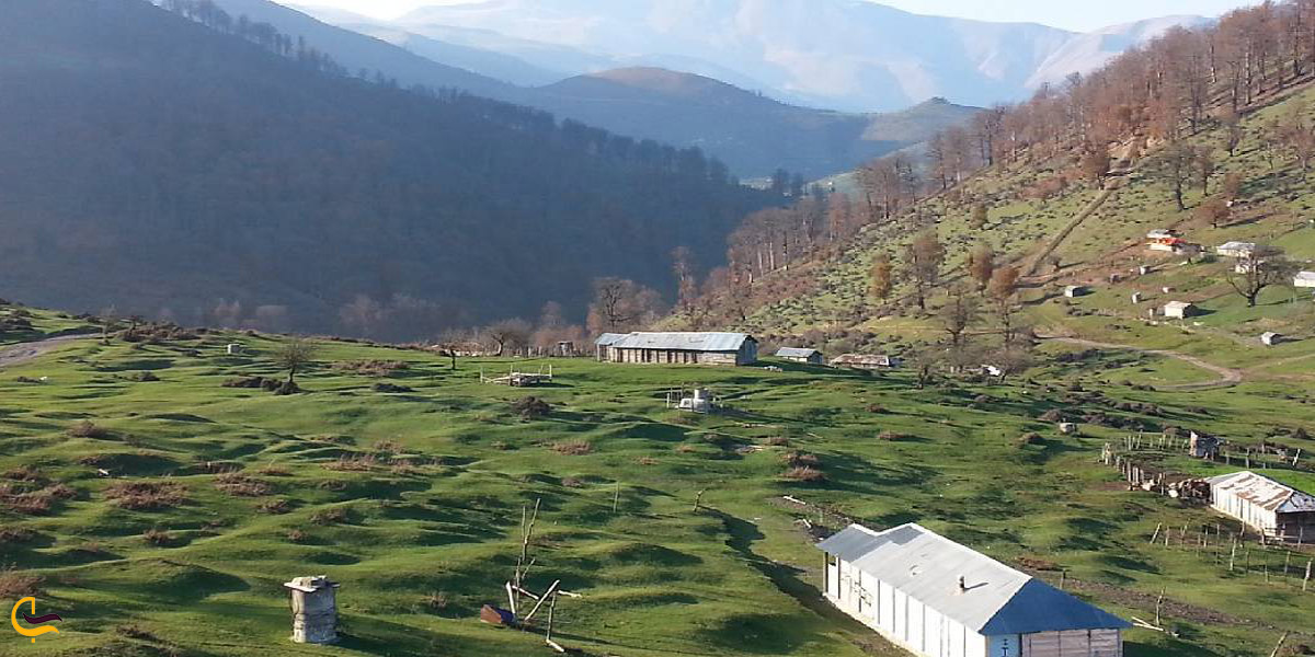 تصویری از رضوانشهر