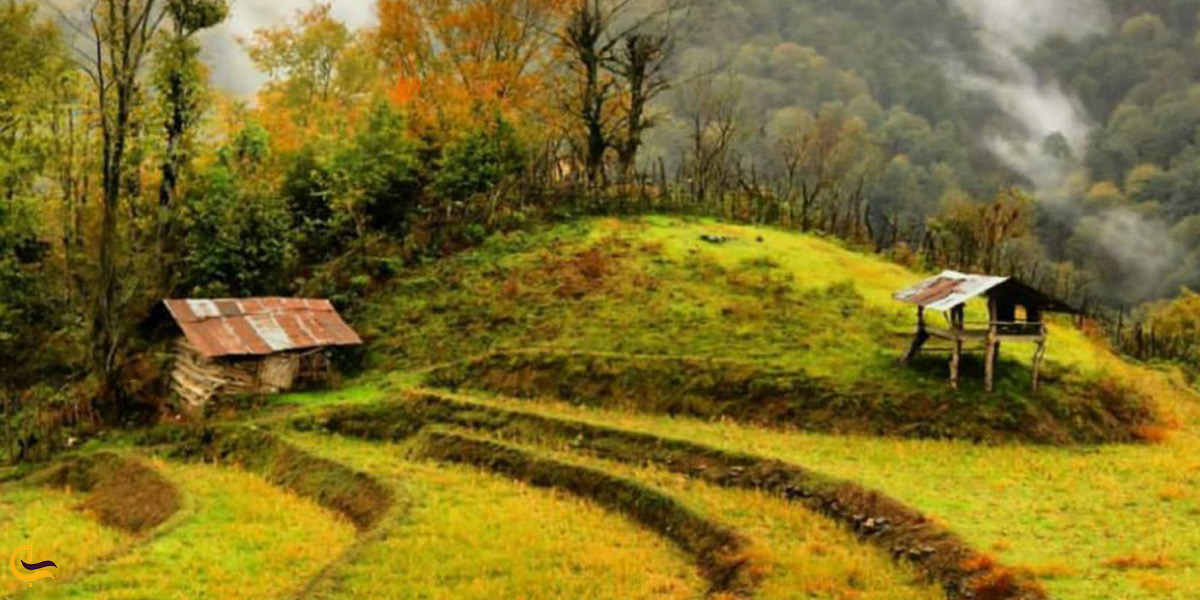 تصویری از طبیعت لنگرود