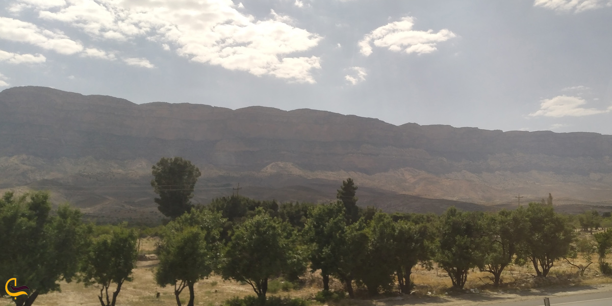 تصویری از طبیعت سرسبز سروستان