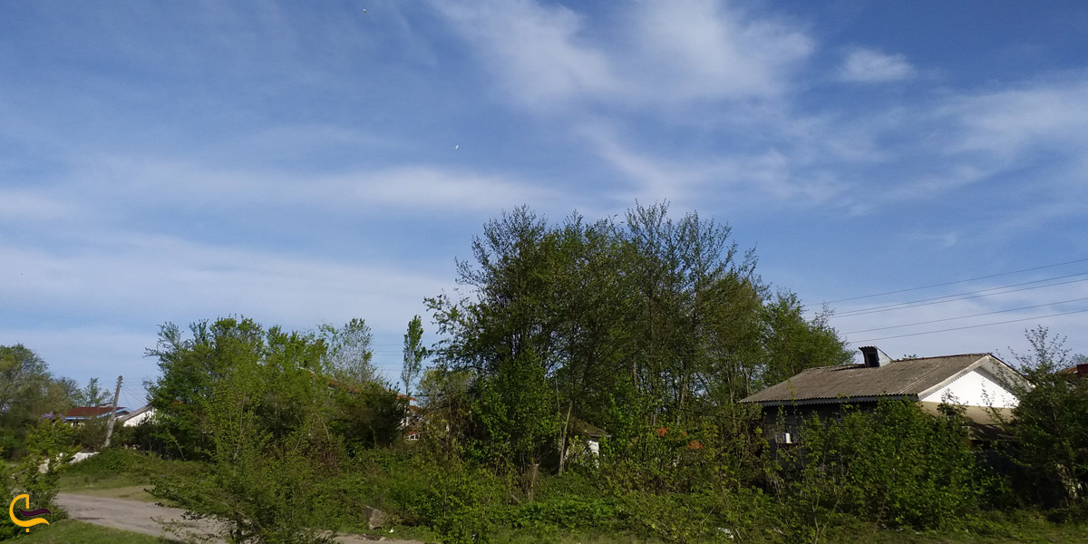 تصویری از طبیعت سیاهکل