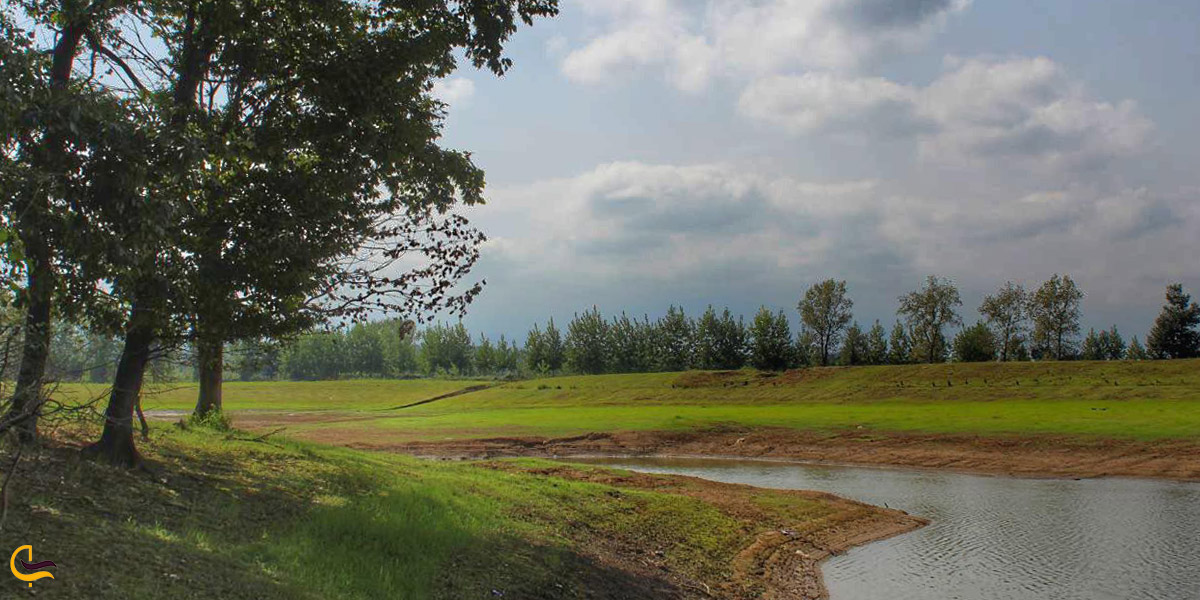 تصویری از طبیعت سرسبز شفت