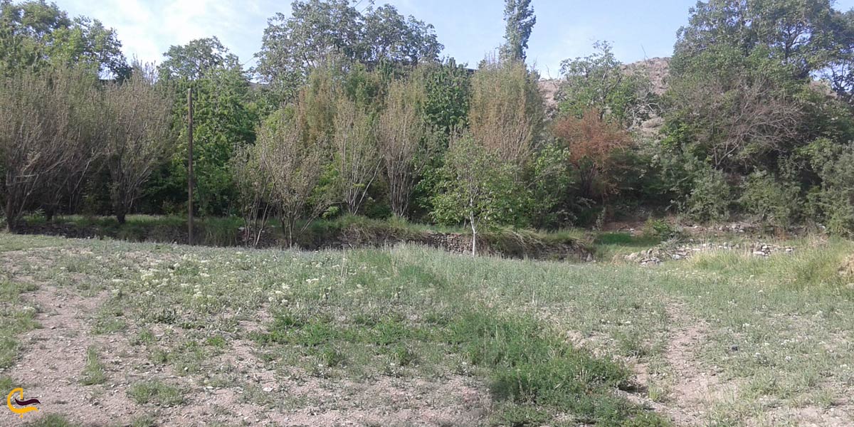 تصویری از طبیعت زرند