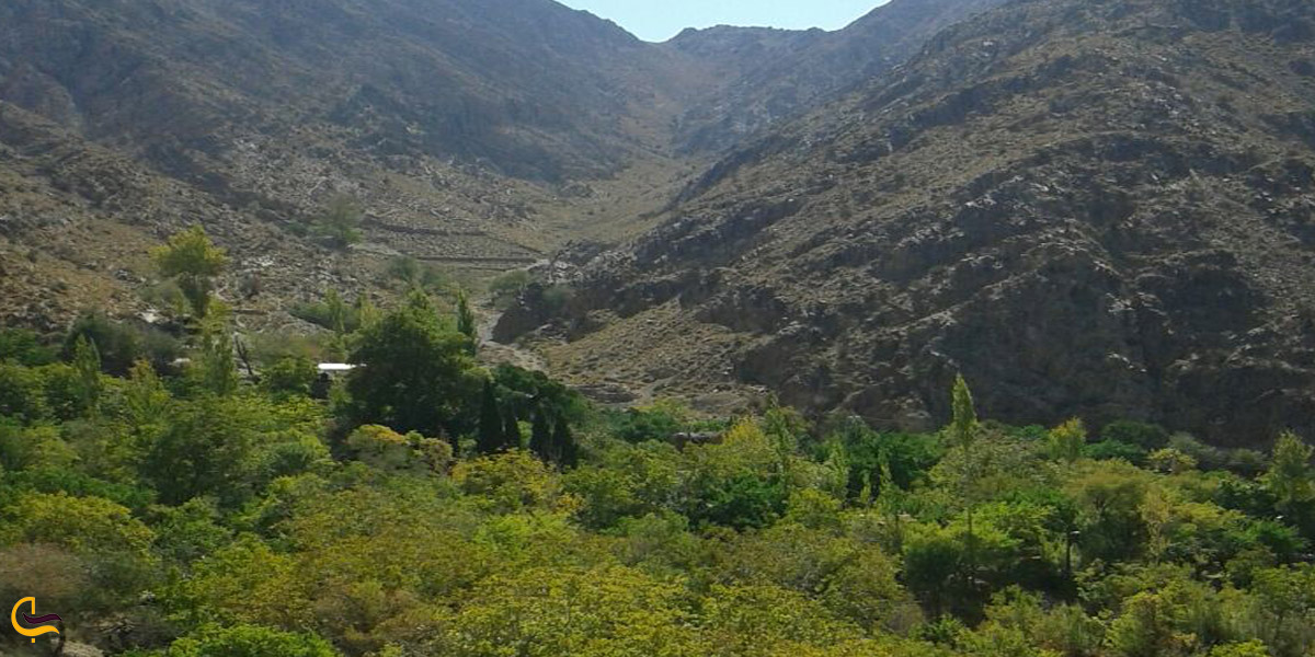 تصویری از طبیعت زرند