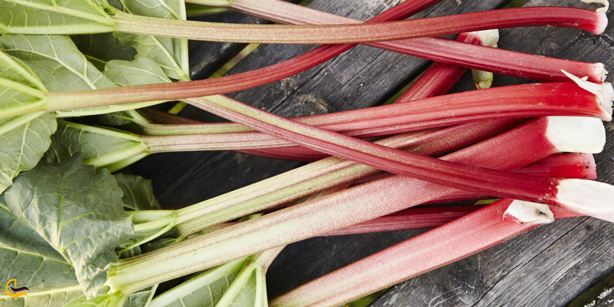 تصویری از ریواس