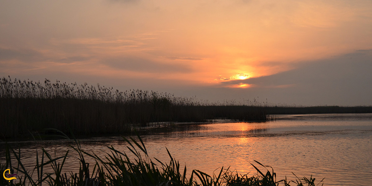 تصویری از تالاب سیاه کشیم