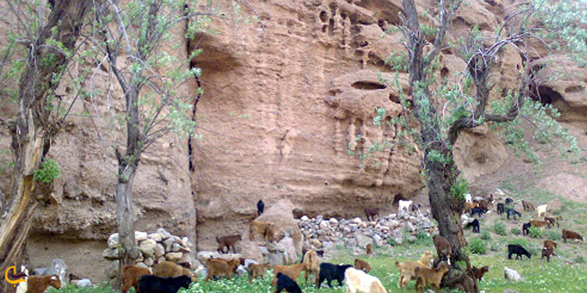 تصویری از روستای پاسیب 