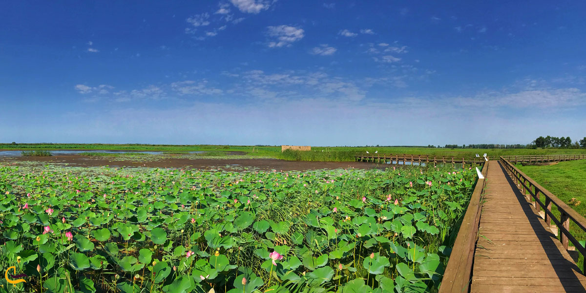 تصویری از پناهگاه حیات وحش سلکه