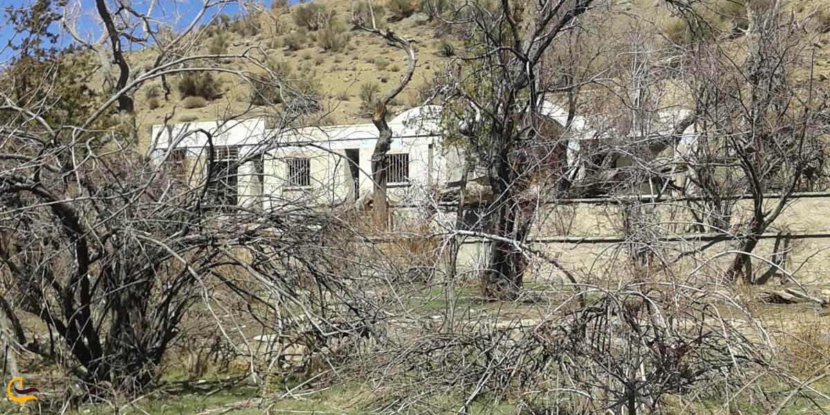 تصویری از طبیعت زرند