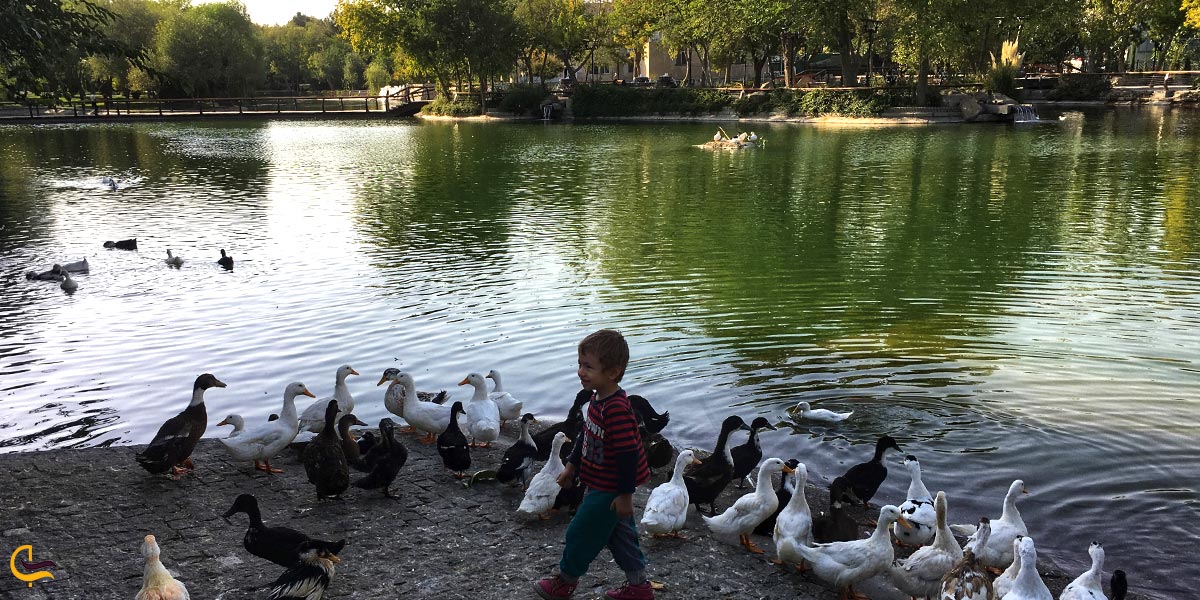 تصویری از دریاچه مصنوعی پارک ملت