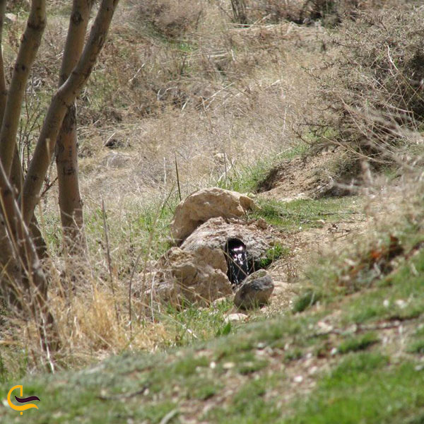 تصویری از پارک ملی بمو