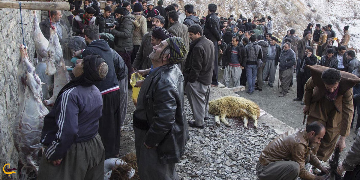تصویری از قربانی مراسم پیرشالیار اورامانات