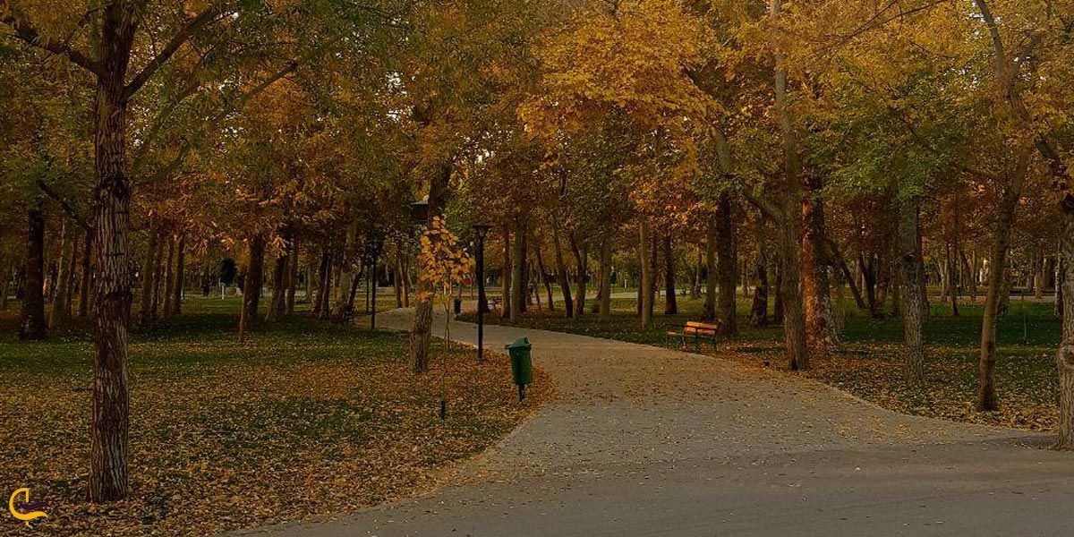 تصویری از طبیعت پاییزی پارک ملت