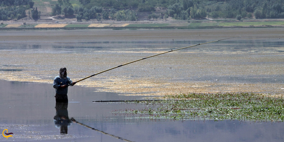 تصویری از ماهیگیری در تالاب چغاخور