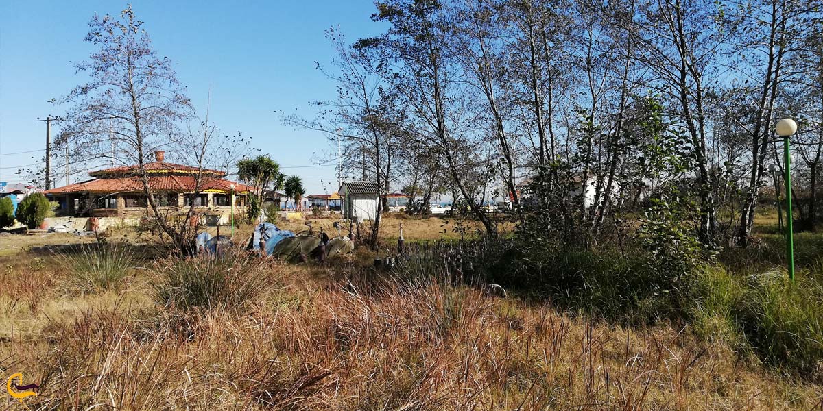 تصویری از پارک جنگلی رودسر