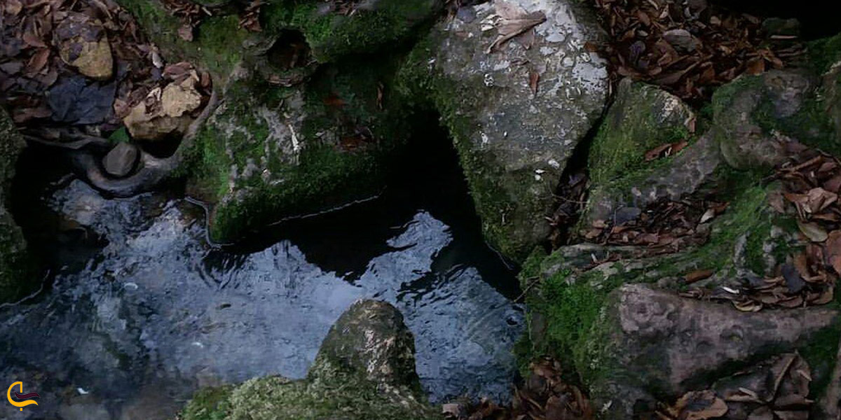 تصویری از چشمه دمکش