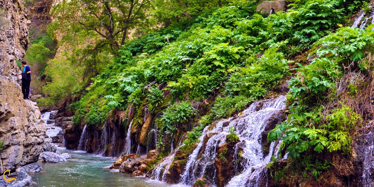 تصویری از آبشار هفت چشمه چالوس
