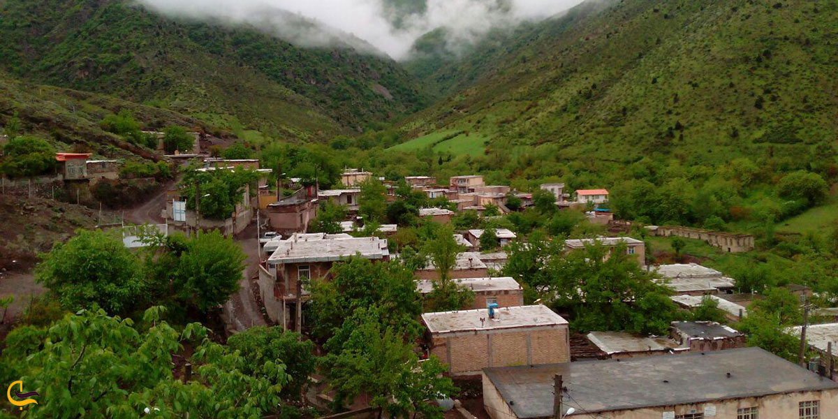 عکس تاریخچه کلاله