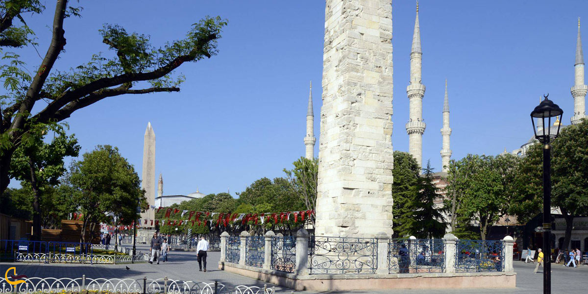 تصویری از میدان هیپودرم