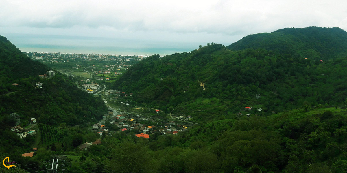 تصویری از جنگل چابکسر