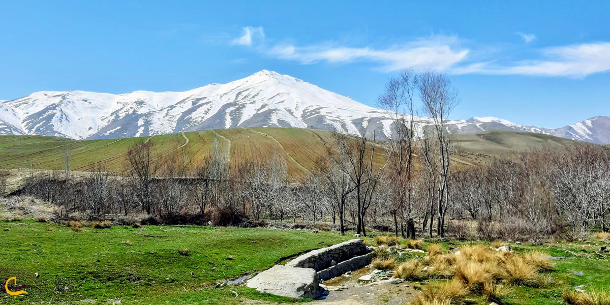 تصویری از طبیعت کنگاور کهنه