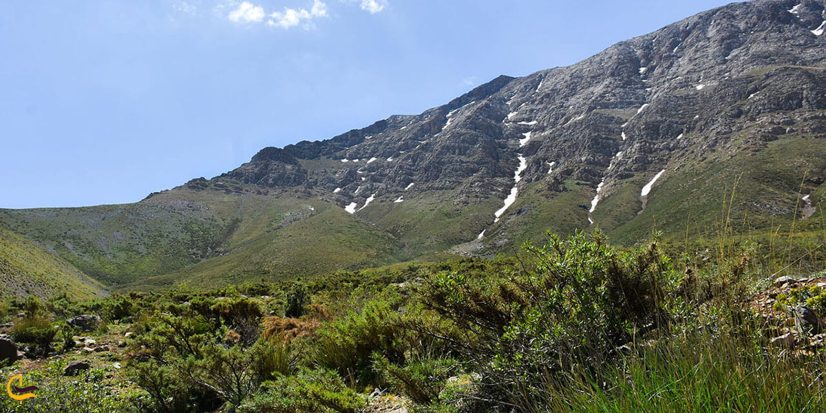 عکس پوشش گیاهی خمین