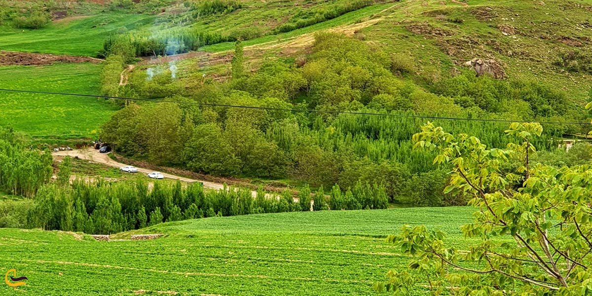 تصویری از طبیعت نهاوند