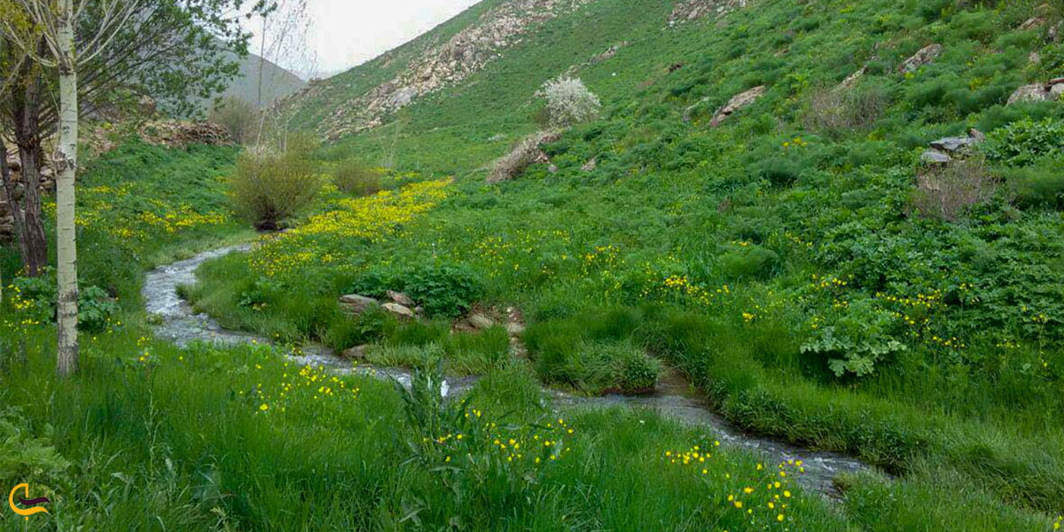 عکس طبیعت مریوان