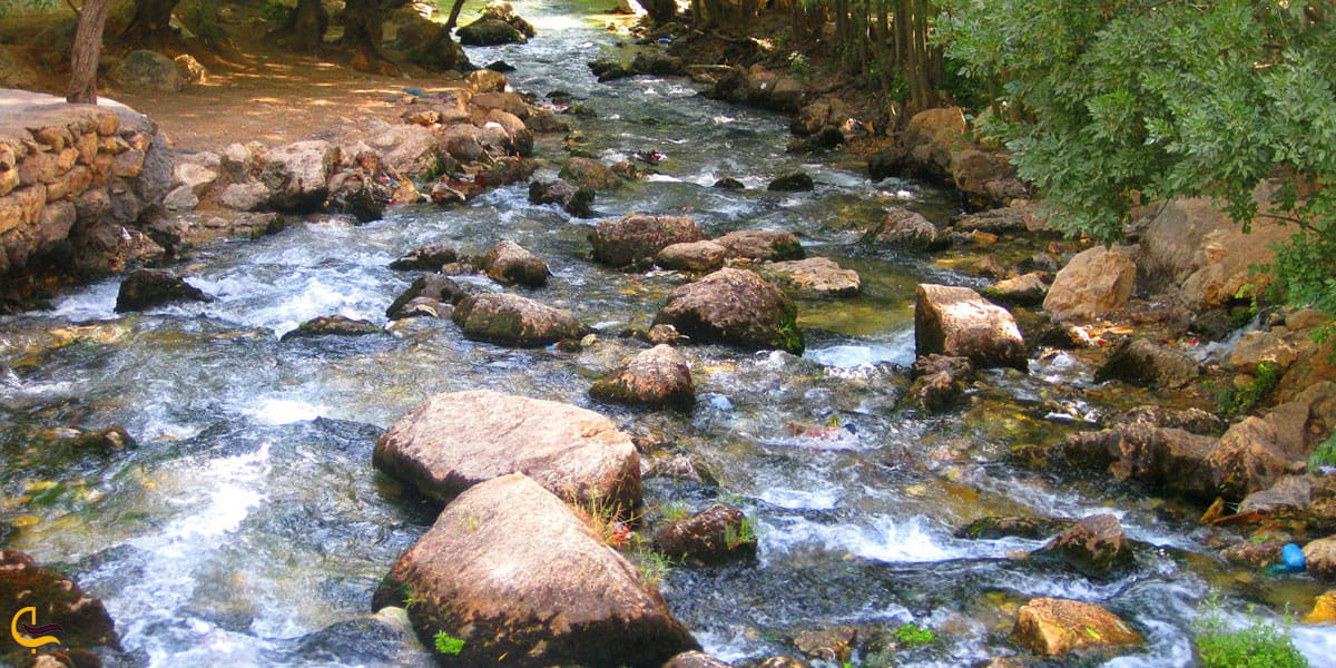 عکس چشمه پیر غار