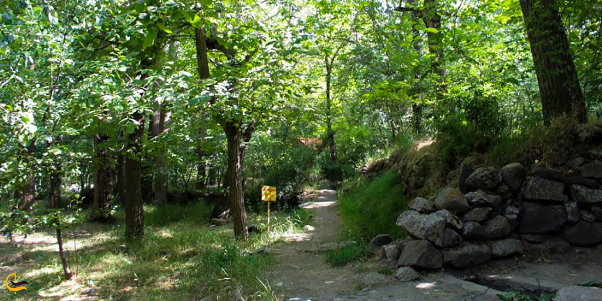 عکس پارک کمر بسته