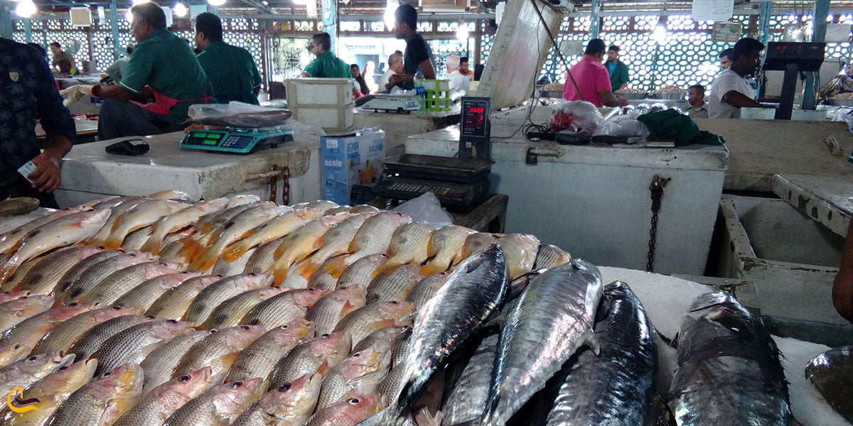 عکس بازار ماهی خلیج فارس