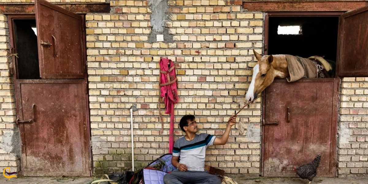 عکس مرکز پرورش اسب صوفیان