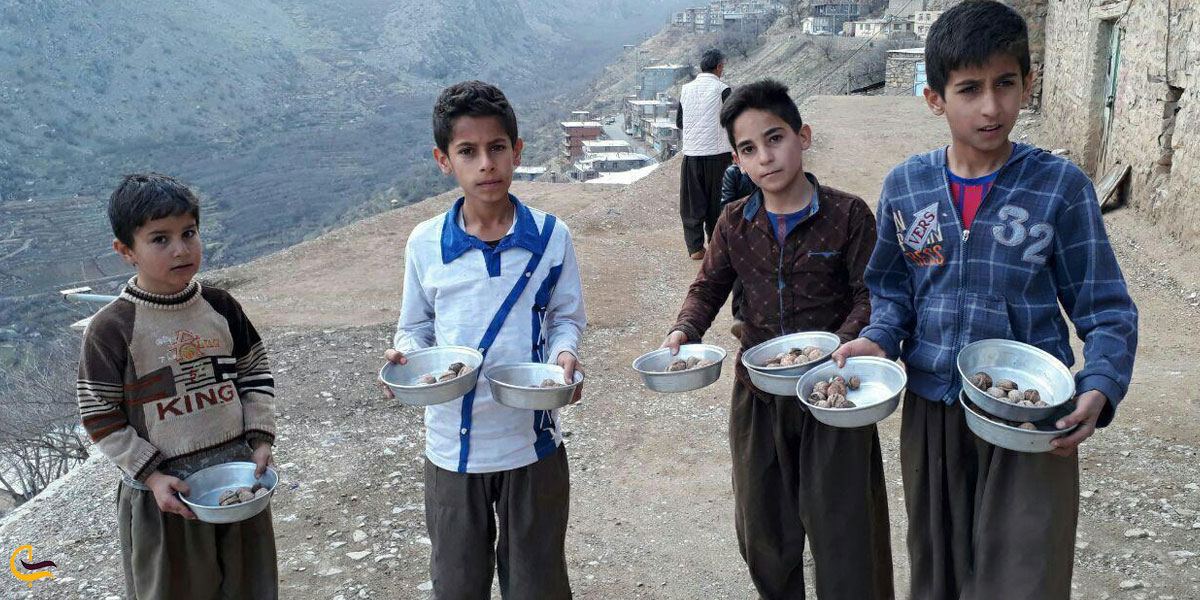 تصویری از پخش گردو در مراسم پیرشالیار اورامانات