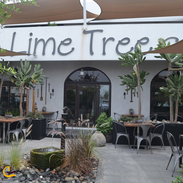 کافه رستوران The Lime Tree Café & Kitchen