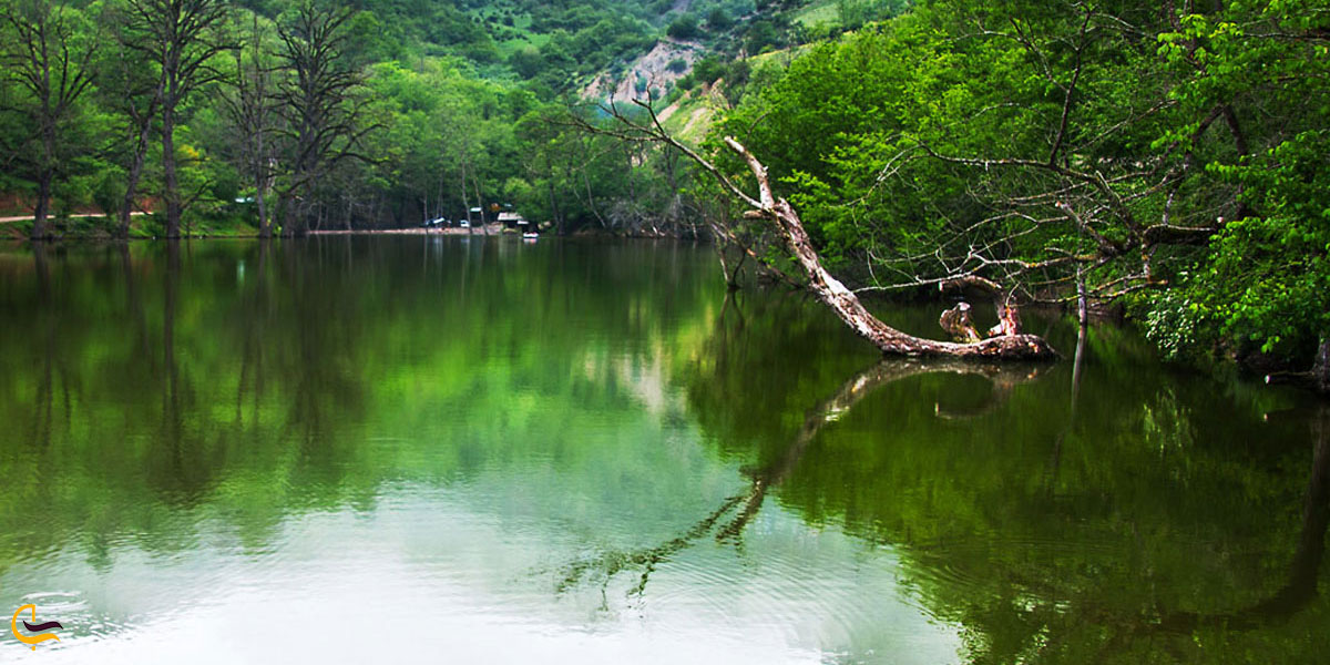 عکس دریاچه شورمست