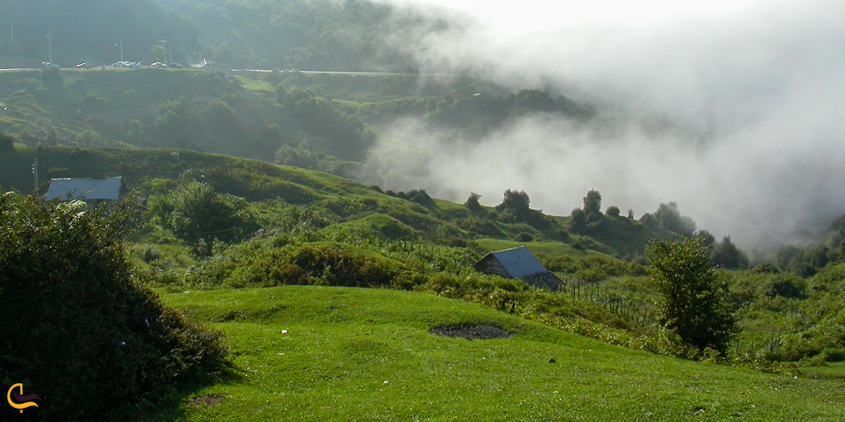 عکس منطقه ‌جنگلی اسپیلی
