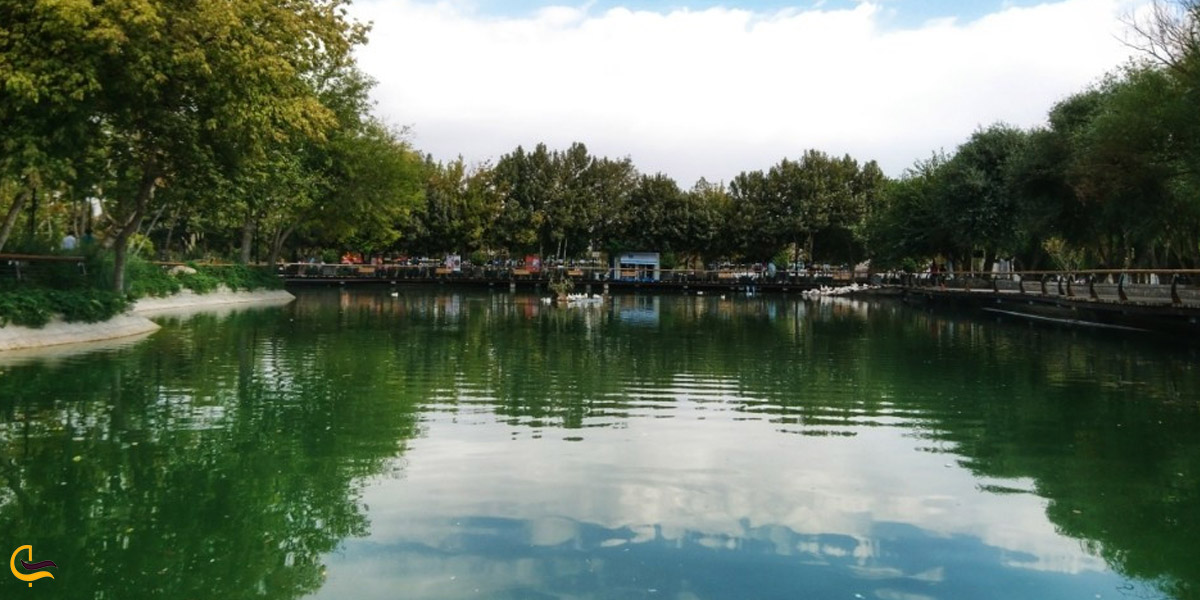 تصویری از طبیعت تابستانی پارک ملت