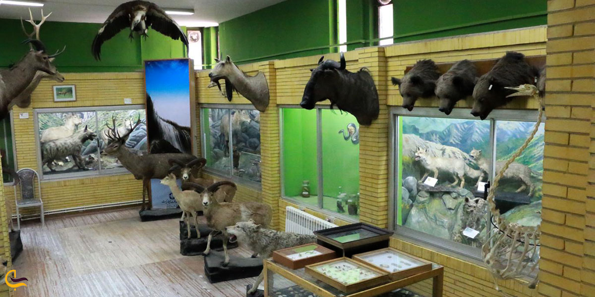 عکس موزه تاریخ طبیعی تبریز