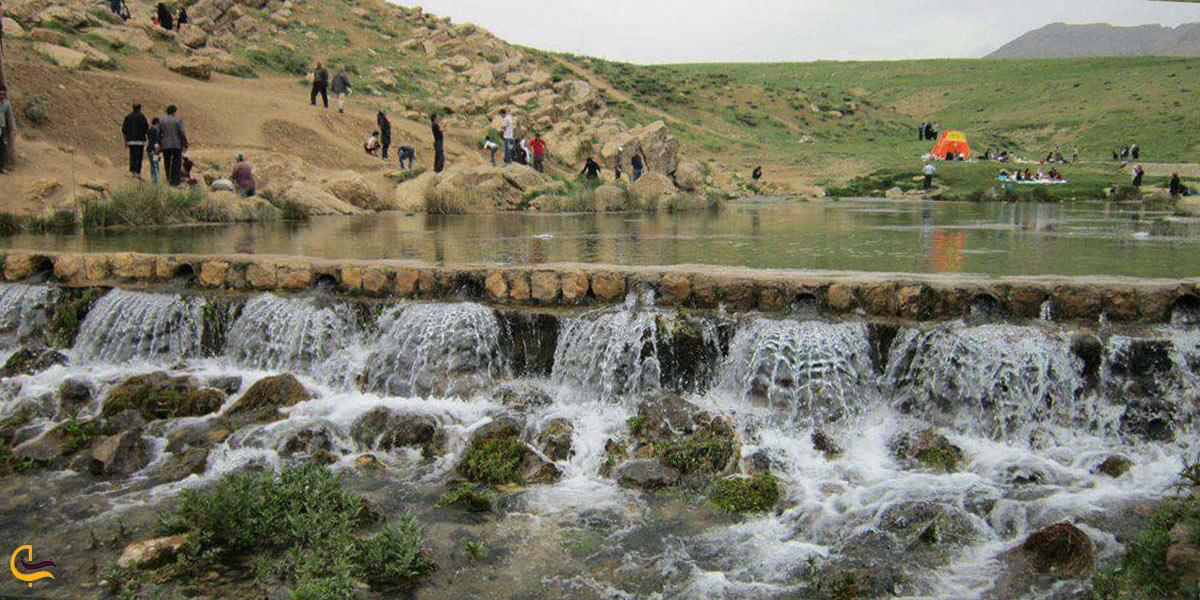 تصویری از چشمه صیفور 