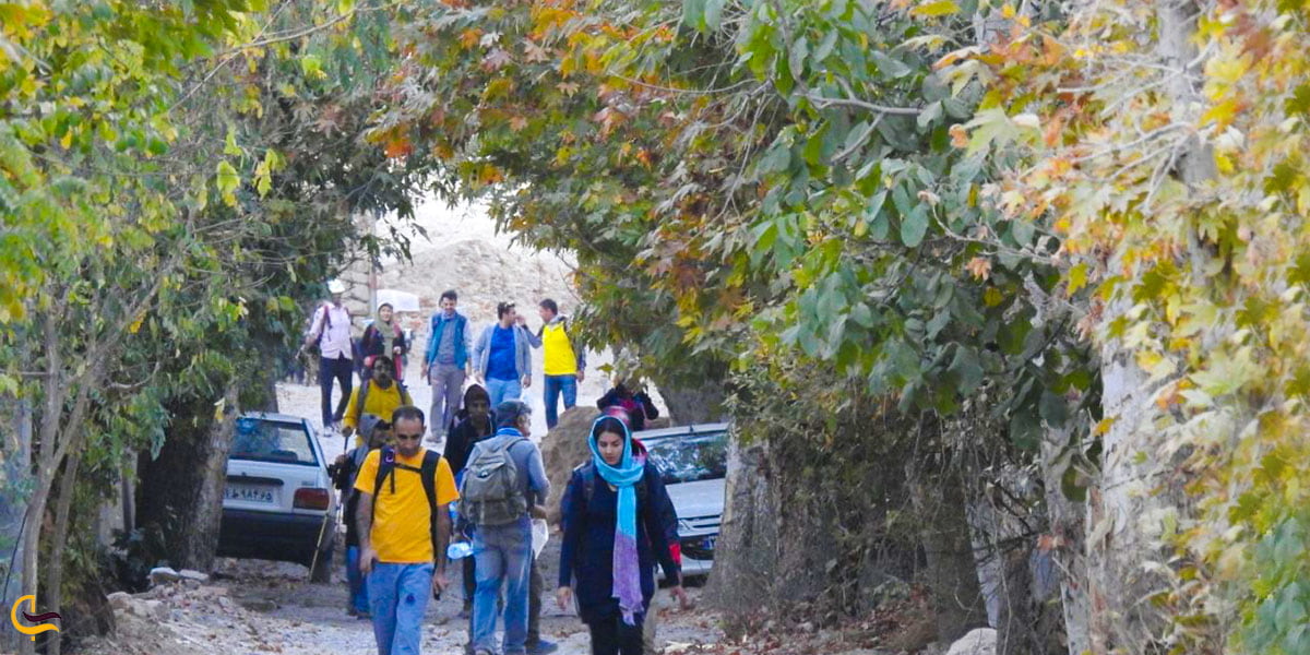 عکس درختان روستای سرتخت