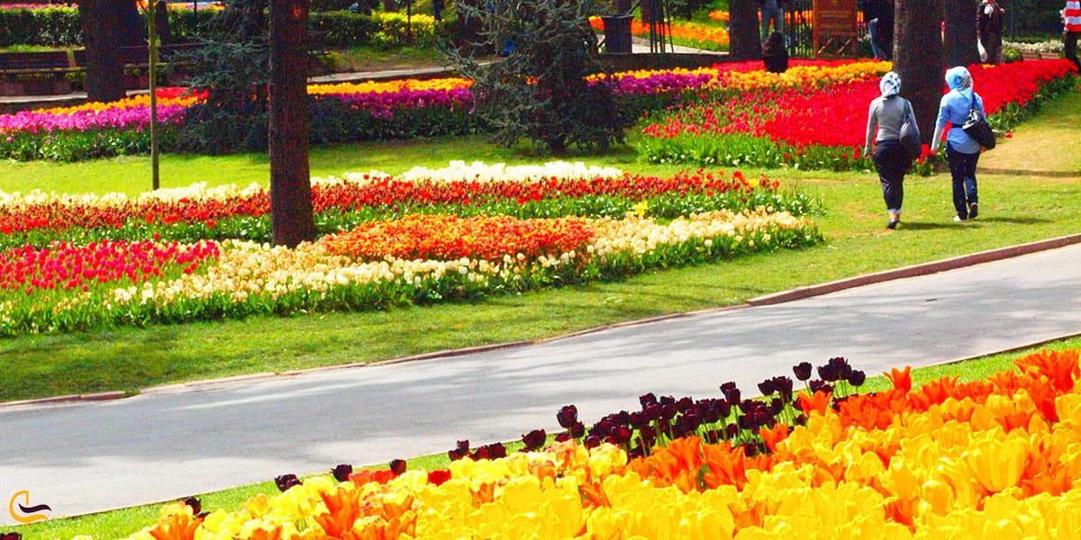 عکس پیاده‌روی در پارک امیرگان استانبول