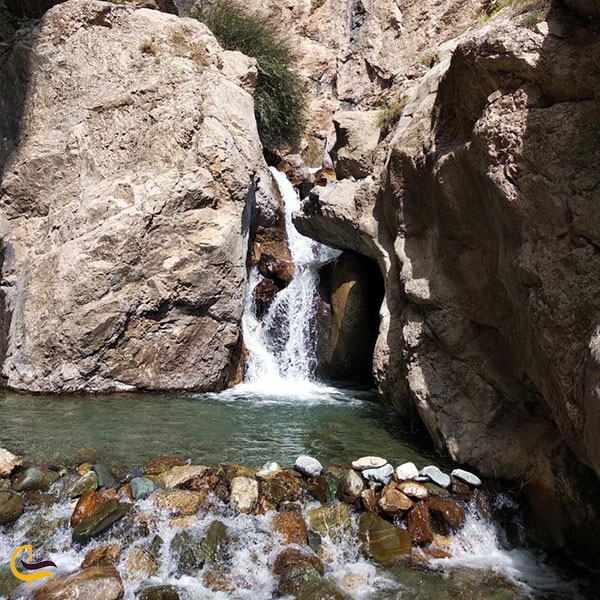 عکس آبشار کلها