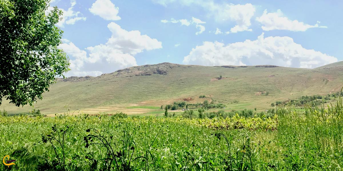 تصویری از طبیعت سرسبز ابهر