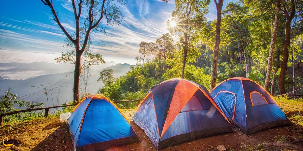 تصویری از کمپ دن در طبیعت