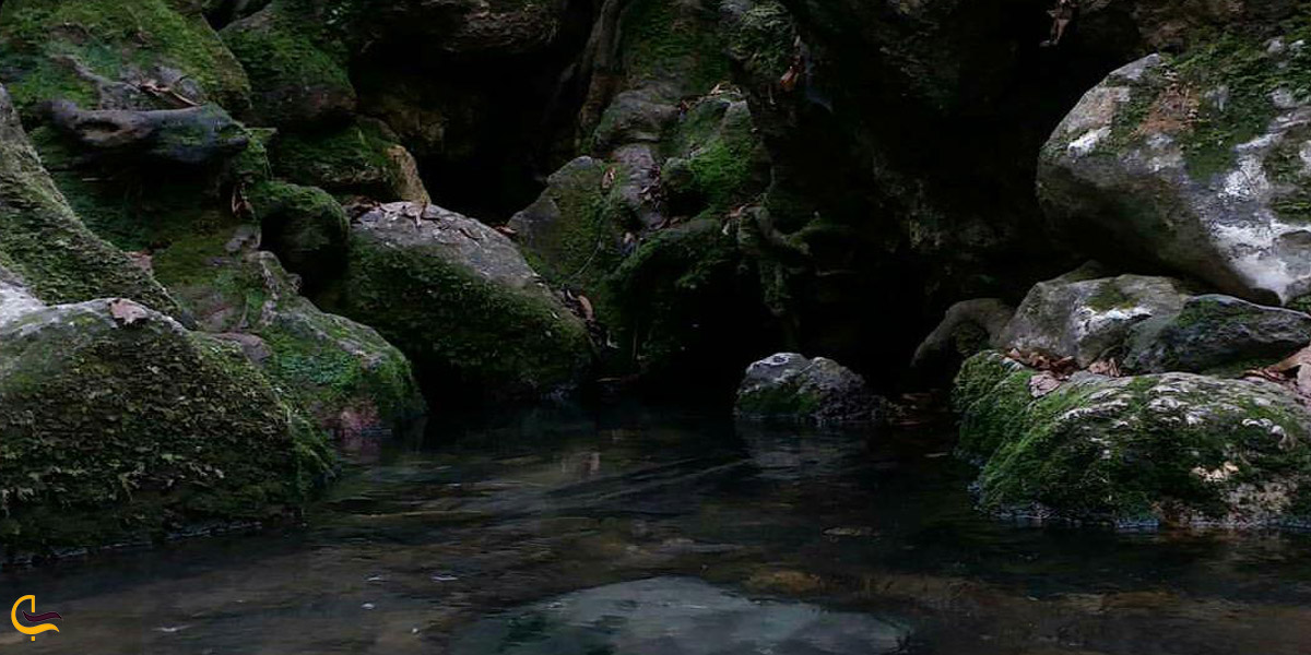 تصویری از چشمه دمکش