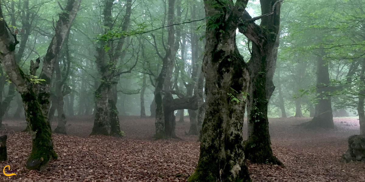 تصویری از ابهر
