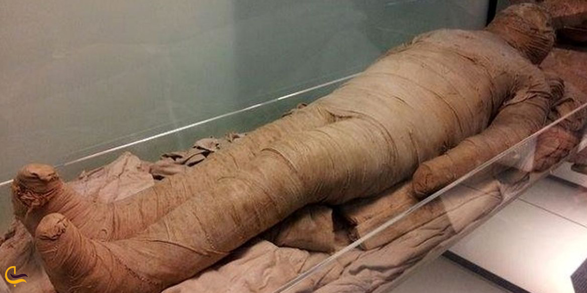 تصویری از مومیایی در کشیت