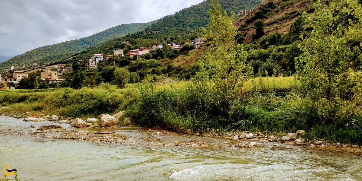 تصویری از طبیعت سرسبز آلاشت