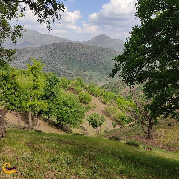 تصویری از روستای نژو